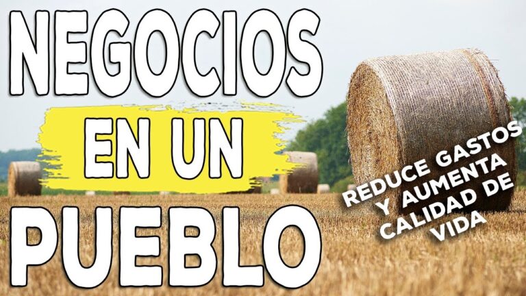 Opciones de Ocio para Jóvenes en Punta del Hidalgo