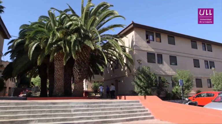 La vida estudiantil en Bajamar: experiencias y realidades