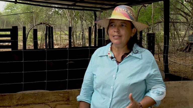 Mejores lugares para comprar pan artesanal en Guamasa