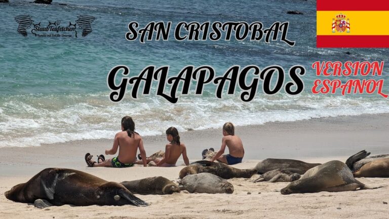 Actividades familiares en San Cristóbal de La Laguna