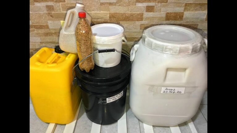 Mercados de Productos Frescos en Las Mercedes
