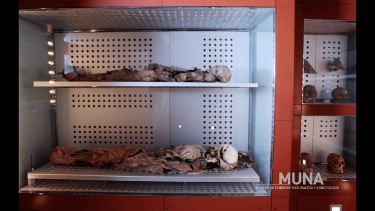 Museos de Tacoronte con Entrada Gratuita