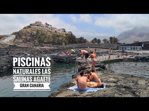 Senderismo con Perros: Mejores Rutas en Tejina