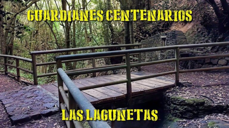 Zonas Verdes Recomendadas en El Sauzal